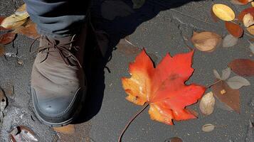 AI generated Person Standing Next to Leaf on the Ground photo