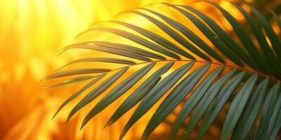 AI generated Vibrant palm leaf radiating with golden sunlight backdrop photo