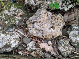 Close up view of the strange patterned background of mountain rocks taken while traveling in Sulawesi, Indonesia photo