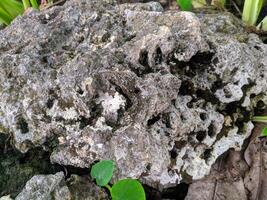 Close up view and background of strange patterns of rocks in a mountainous area taken during cross-country travel in Sulawesi, Indonesia. photo