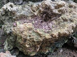 Close up view and background of strange patterns of rocks in a mountainous area taken during cross-country travel in Sulawesi, Indonesia. photo