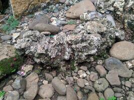 cerca arriba ver y antecedentes de extraño patrones de rocas en un montañoso zona tomado durante a campo traviesa viaje en sulawesi, Indonesia. foto