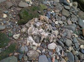 Close up view of the strange patterned background of mountain rocks taken while traveling in Sulawesi, Indonesia photo