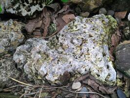 cerca arriba ver y antecedentes de extraño patrones de rocas en un montañoso zona tomado durante a campo traviesa viaje en sulawesi, Indonesia. foto