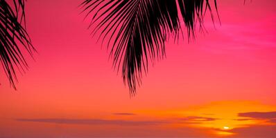 silueta de palmera en la playa durante la puesta de sol de una hermosa playa tropical sobre fondo de cielo rosa foto