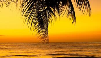 silueta de palmera en la playa durante la puesta de sol de una hermosa playa tropical en el fondo del cielo foto