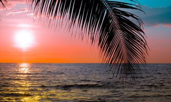 silueta de hermosa puesta de sol en la playa con palmeras para viajar en vacaciones relajarse como verano foto