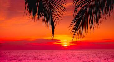 silueta de palmera en la playa durante la puesta de sol de una hermosa playa tropical sobre fondo de cielo rosa foto