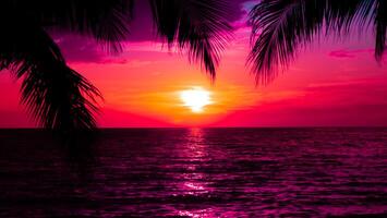 Silhouettes of palm trees and amazing cloudy sky on sunset at tropical beach with pink sky background for travel and vacation photo