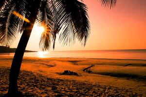 silueta de hermosa puesta de sol en la playa con palmeras para viajar en vacaciones relajarse como verano foto