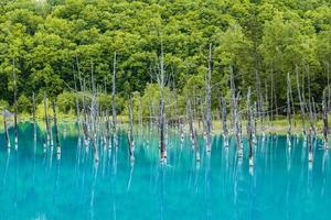 paisaje de biei azul estanque en Hokkaidō, Japón foto