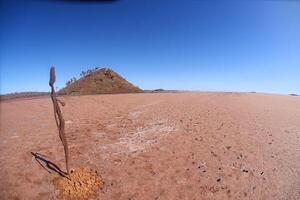 Lake Ballard Statue photo