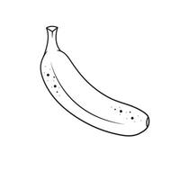 Vector Line Art Of Banana One Whole Banana Outline Isolated On White Background Vector Illustration