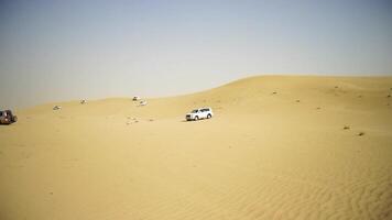 deserto safari suv picchiare attraverso il arabo sabbia dune. suv giro attraverso il arabo deserto video