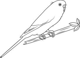 Outline Parrot Sitting On A Branch, Line Art Parrot Isolated On White Background, 3d Illustration vector