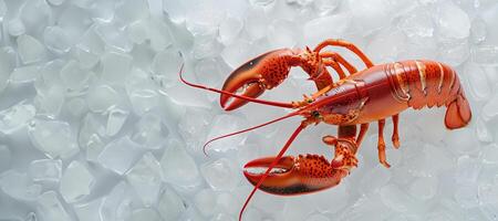 AI generated Fresh Red Lobster Chilled on Ice photo