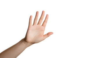 AI generated Human hands and gestures on background png