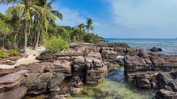 Serene Tropical Beach Oasis Escape photo