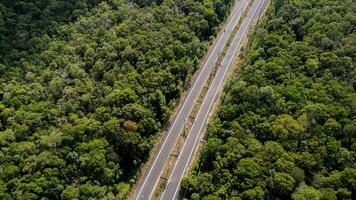 aéreo doble calzada Satisface lozano selva foto