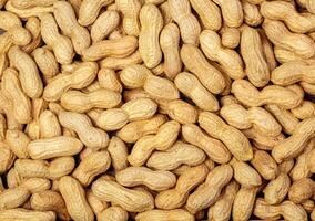 Peanuts in shell texture background. photo