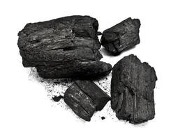 Piece of fractured wood coal photo