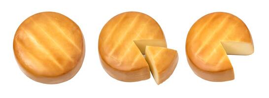 Cheese on white background isolated photo