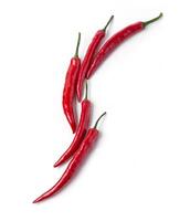 Chiles rojos Picantes foto