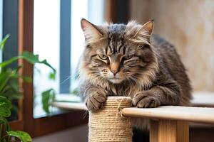 AI generated A domestic cat sharpens its claws on a scratching post in the interior of the house. Protection from damage to furniture by a pet, upbringing and needs. AI generated photo