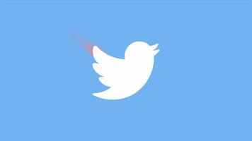 Twitter Segue nos social meios de comunicação logotipo animação em alfa canal video
