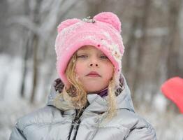 un niña en un Nevado parque. foto de un niño en un invierno bosque. invierno, invierno vacaciones, vacaciones, vacaciones