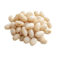 AI generated So beautiful white Beans isolated on transparent background png