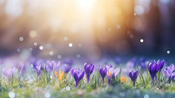 AI generated Crocuses on the background of a beautiful bokeh background. photo