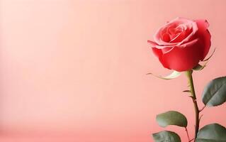 AI generated Beautiful red rose on a pink background. Place for text. photo