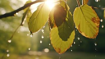 AI generated Close up of leaves on a tree under the falling rain. photo