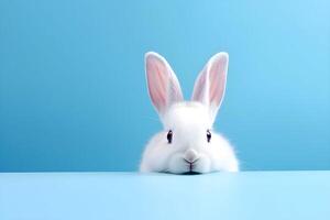 AI generated White bunny on a blue background, copy space. photo