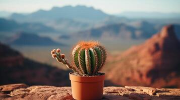 AI generated Cactus in a pot against a desert background. Place for text. Copy space. Wallpaper for banner. photo