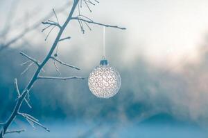 Navidad pelota en árbol al aire libre, creativo foto, nuevo año, Navidad foto