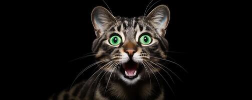 AI generated A cat with its mouth open is looking at the camera. Generated by artificial intelligence. photo
