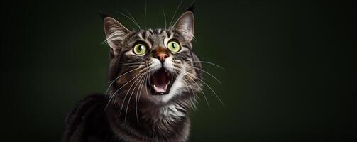 AI generated A cat with its mouth open is looking at the camera. Generated by artificial intelligence. photo