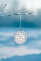 Christmas ball on tree outdoors, creative photo, new year, christmas photo