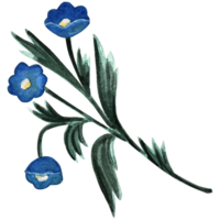 waterverf bloemen en groen bladeren, bloemen illustratie. hand- tekening. png