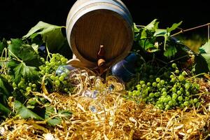 white wine grapes on olive wood photo