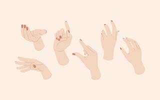 conjunto de hembra manos con diferente gestos vector ilustración en plano estilo