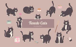 Tuxedo Cats in Various Poses with Pet Accessories Set. Flat Style Vector Illustration