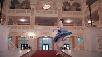 balletto. grazioso ballerina danza elementi di classico balletto nel il bellissimo leggero e Fumo su il sfondo, video