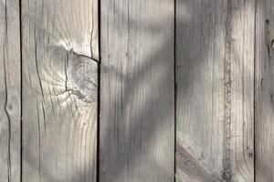 Wood texture, old and shabby photo