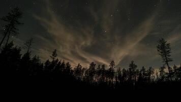 tijd vervallen van in beweging sterren en wolken over- Woud in nacht lucht. episch video 4k