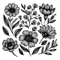 conjunto de floral mano dibujado estilo. flor rosa, peonía, hojas para decoración. negro y blanco vector flores ilustración