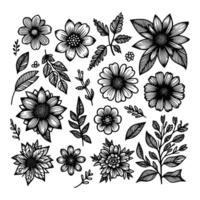 set of floral hand drawn style. flower rose, peony, leaves for decoration. black and white vector flowers  illustration