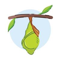 Green butterfly or caterpillar cocoon hanging on thin tree branch with leaves vector icon illustration isolated on square white background. Simple flat colored cartoon art styled drawing.